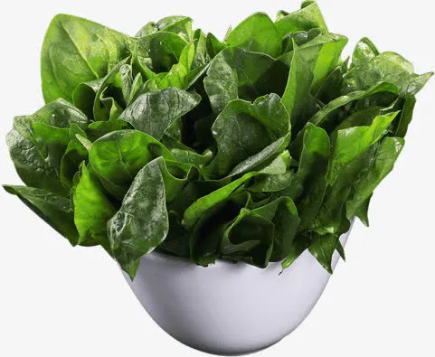 新鲜的绿色蔬菜菠菜免抠