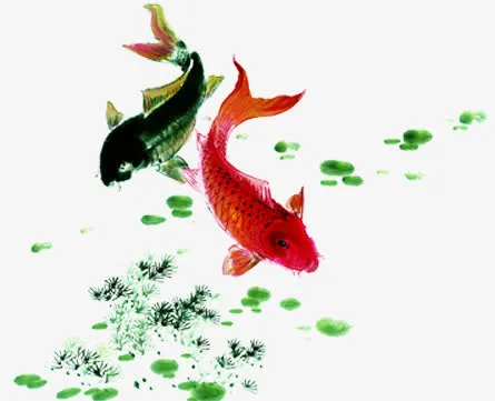 鲈鱼水墨清廉展板模板免抠