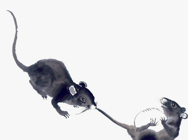 两只老鼠水墨绘画免抠