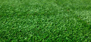 青青草地绿色背景高清