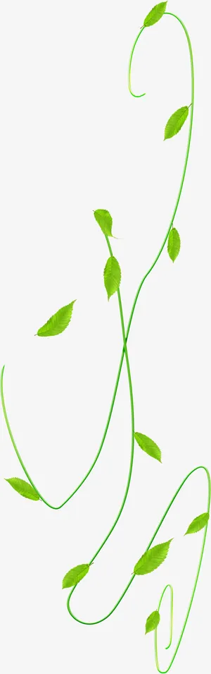 春天绿叶藤蔓装饰免抠装饰植物元素
