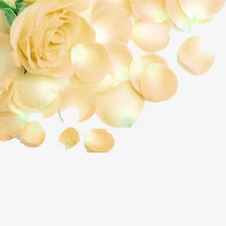 黄色清新花瓣装饰图案免抠