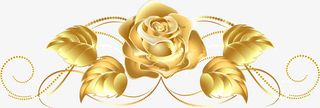 金色玫瑰花免抠