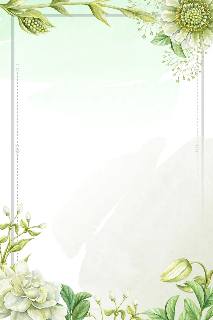 淡绿色手绘春季上新花卉线框背景高清