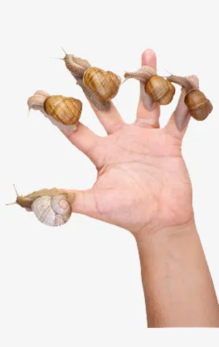 正在蜗牛治疗手免抠