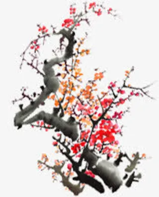 中国风水墨梅花花枝图片免抠