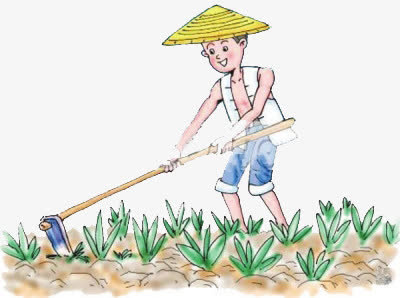 耕田免抠