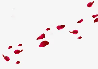 漂浮花瓣免抠