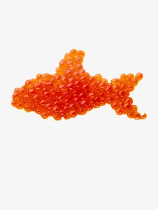 鱼形状鱼子酱免抠