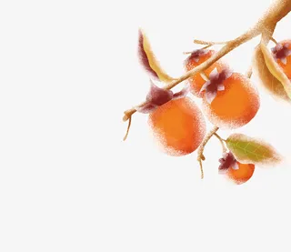 手绘水墨柿子图片免抠