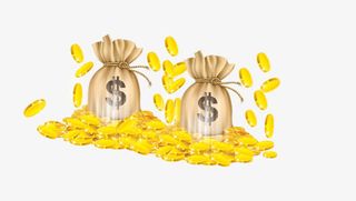 金袋子金币免抠