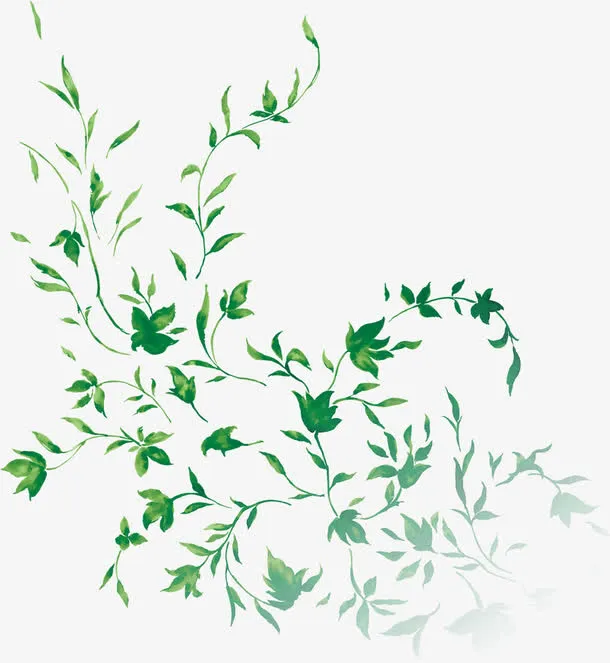 春天绿色手绘藤蔓植物装饰免抠
