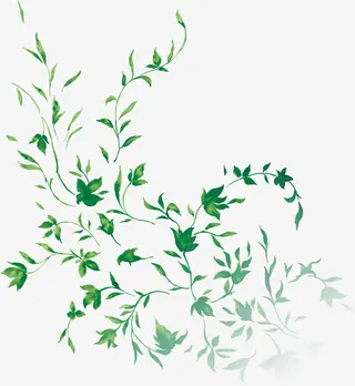 春天绿色手绘藤蔓植物装饰免抠