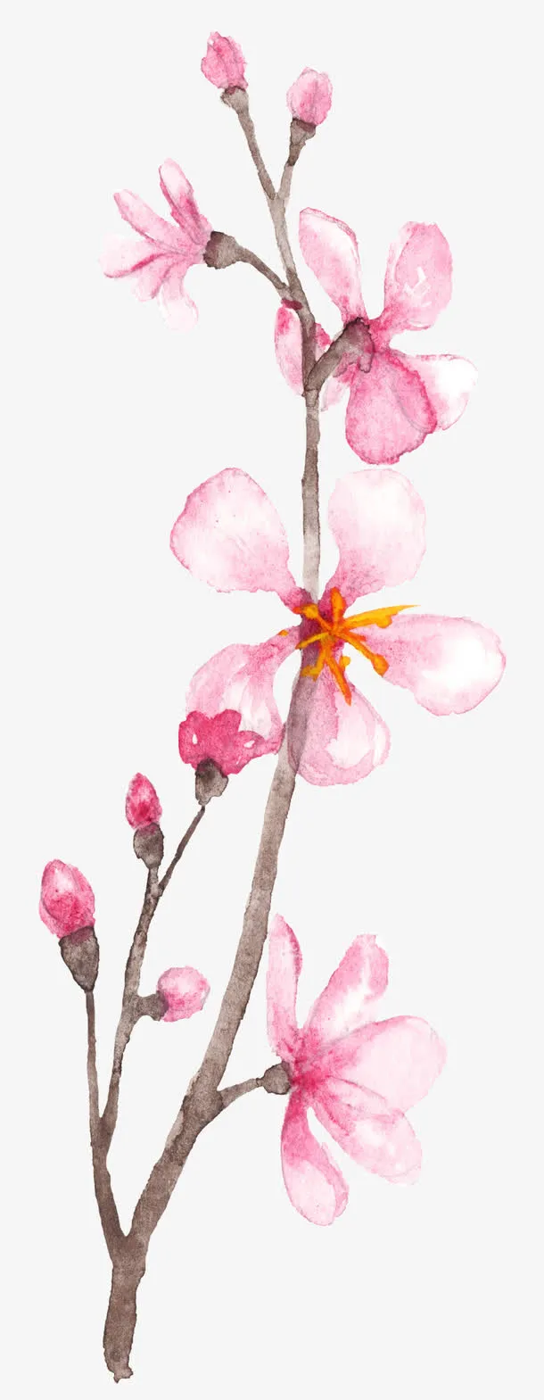 粉色桃花树枝免抠