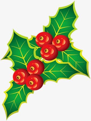 手绘圣诞绿叶果实免抠