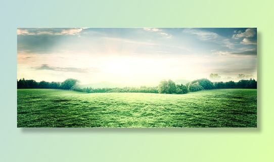 春天踏青大气草原风景背景高清