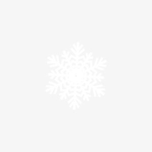 白色雪花浪漫装饰免抠