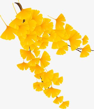 卡通金叶子免抠