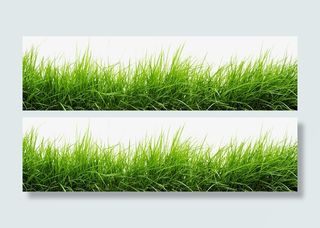 绿色草皮元素免抠