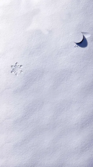 淡紫色雪花清新h5背景素材高清