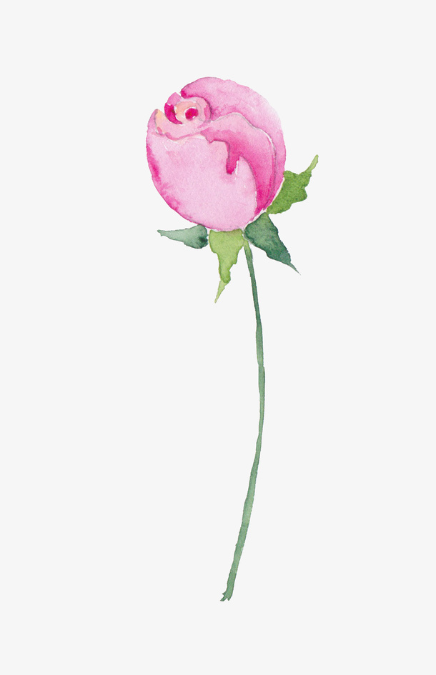手绘花瓣免抠