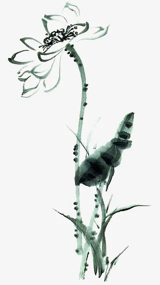 荷花水墨画免抠