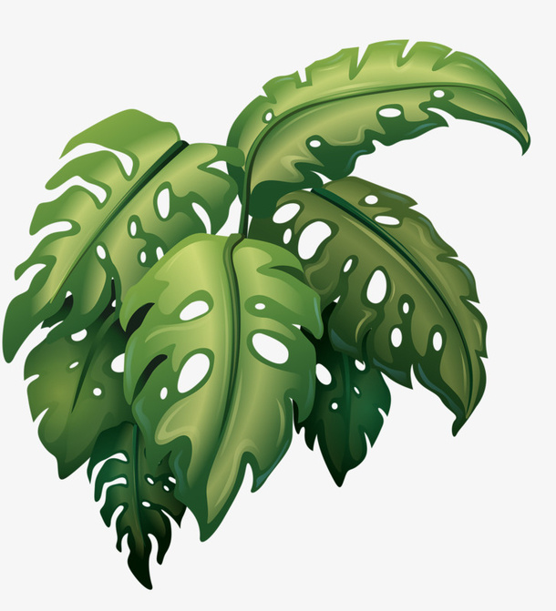 绿色植物图案免抠