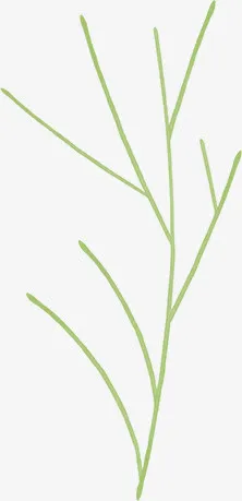手绘绿色清新树枝装饰免抠