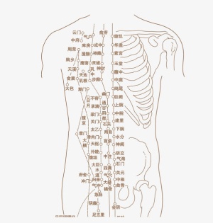 人体穴位图免抠