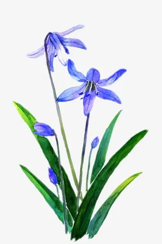 卡通水彩兰花免抠