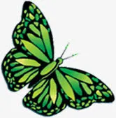 绿色蝴蝶开业大吉免抠