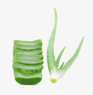 芦荟免抠