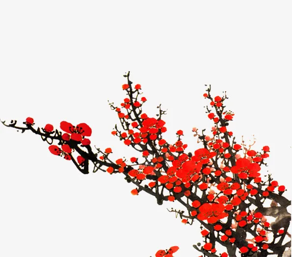 红色花朵免抠
