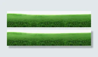绿色草地边框纹理免抠