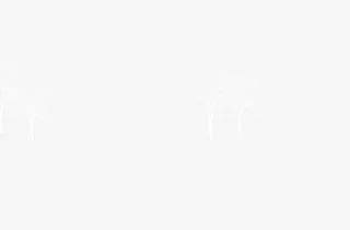 白色的树，枝条，冬天的树免抠