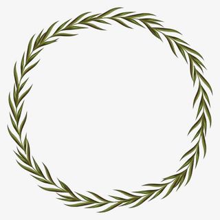 枝条花环插画免抠