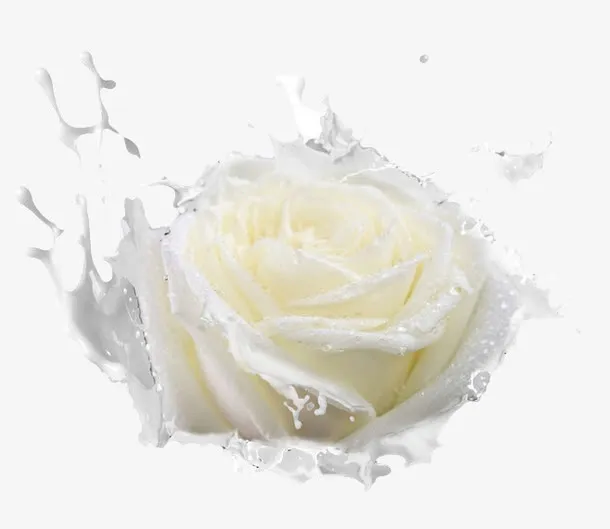 个性的玫瑰花免抠