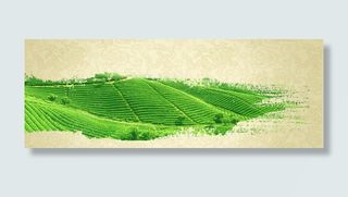 茶叶泼墨茶田背景banner免抠