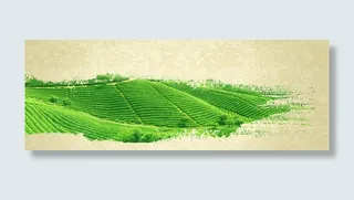 茶叶泼墨茶田背景banner免抠