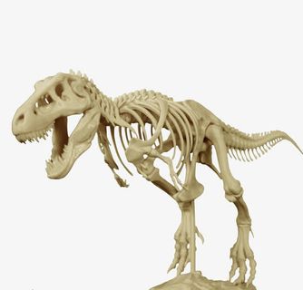 霸王龙龙骨免抠