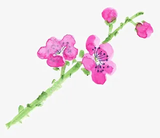 水墨桃花免抠
