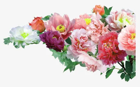 花开富贵牡丹花免抠