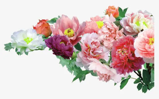 花开富贵牡丹花免抠 花开富贵牡丹花免抠