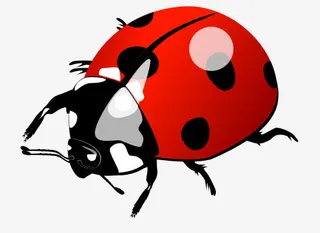 手绘七星瓢虫免抠