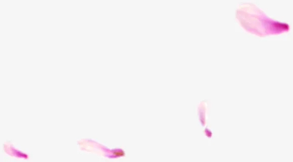 粉色卡通春天花瓣漂浮免抠漂浮叶子元素