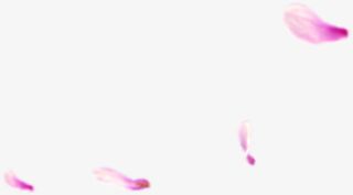 粉色卡通春天花瓣漂浮免抠漂浮叶子元素