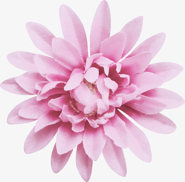 花卉背景素材