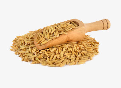 稻子免抠