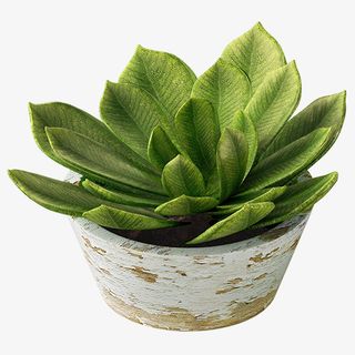 绿色清新装饰盆栽设计图免抠