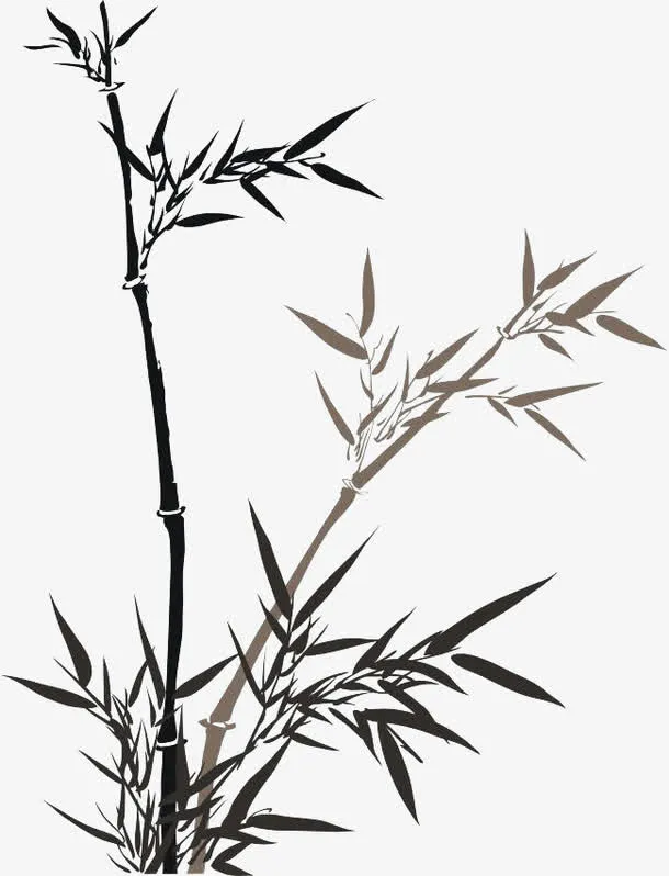 竹林挺拔免抠